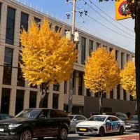 🇰🇷number.7｜韓國代購｜東大門服飾｜好物分享🇰🇷