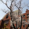 近大経営学部田口ゼミ５期