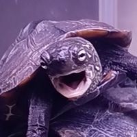 生物好きな人集まって～🐛
