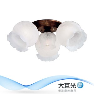 房間美化照明設備 LED照明省電耐用 生活品質提昇 本商品「無安裝服務」 貨運送貨至一樓，不上樓 本商品保固一年