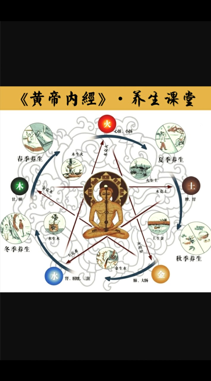 ☯️新莊道醫研習🈺️