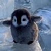 ライトしよー！！