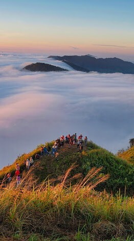 คนรักธรรมชาติのオープンチャット