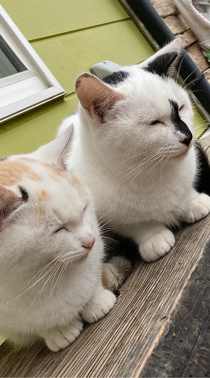 仲良しbrother＆sister