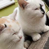 仲良しbrother＆sister