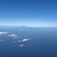 野田の気になったニュースをお届けします！