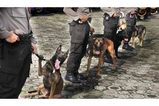 Selidiki Kematian Editor Metro Tv Polisi Terjunkan Anjing Pelacak Sindonews Line Today