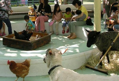 都内 無料で動物ふれあいが楽しめるスポット 乗馬も多数 後編 いこーよ