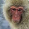 お腹自分で鳴らせる人〜？？？🙋‍♀️