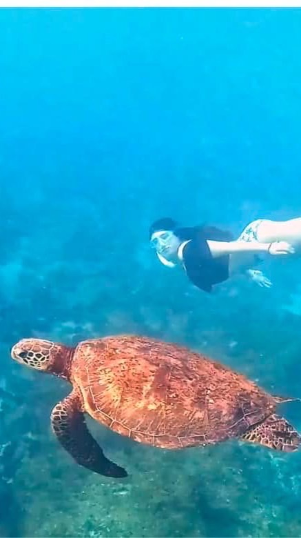 鳳姐民宿推薦｜離島旅宿分享群