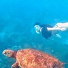 鳳姐民宿推薦｜離島旅宿分享群