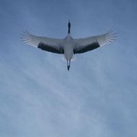 陰陽宅暨命理空間設計學會