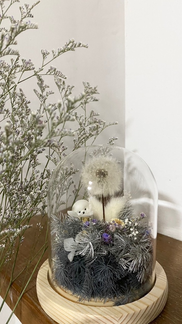 Juan花花草草