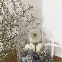 Juan花花草草