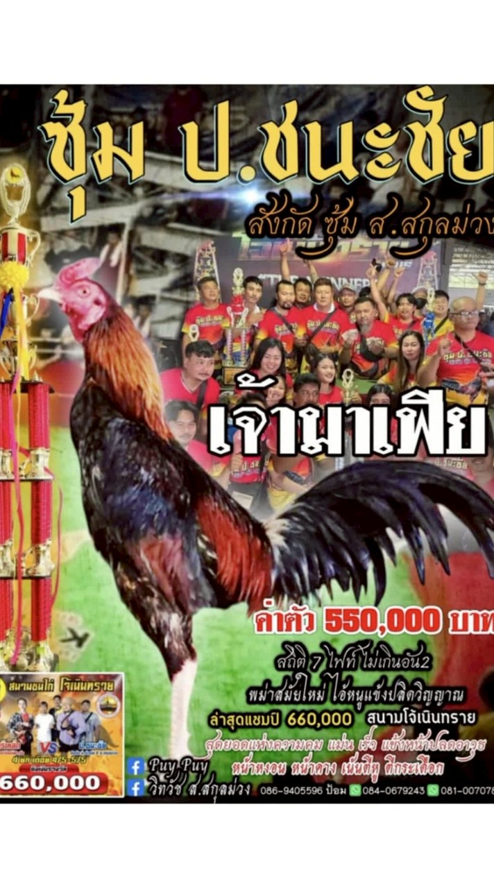 ซุ้ม ป.ชนะชัย(สังกัด ส.สกุลม่วง)
