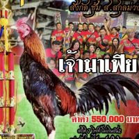 ซุ้ม ป.ชนะชัย(สังกัด ส.สกุลม่วง)