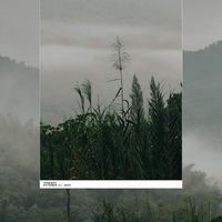 เพื่อนไบ เที่ยวป่า กางเต็นท์