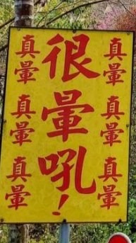 帥哥美女通通來❤️❤️