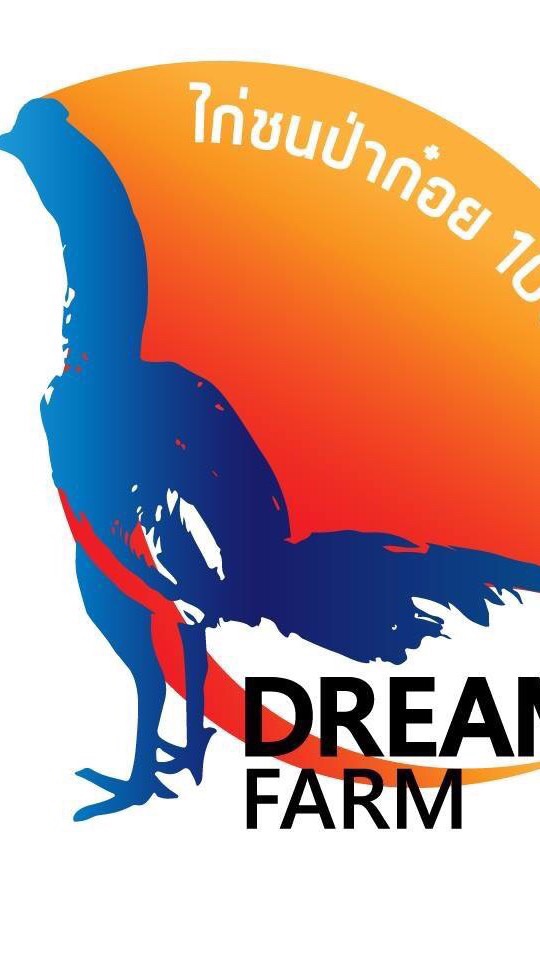 ดรีมฟาร์ม ลำพูนไก่ชนเหล่าป่าก๋อย100