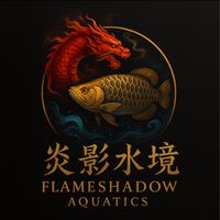 炎影水境｜精選短尾泰獅·精選龍虎魟