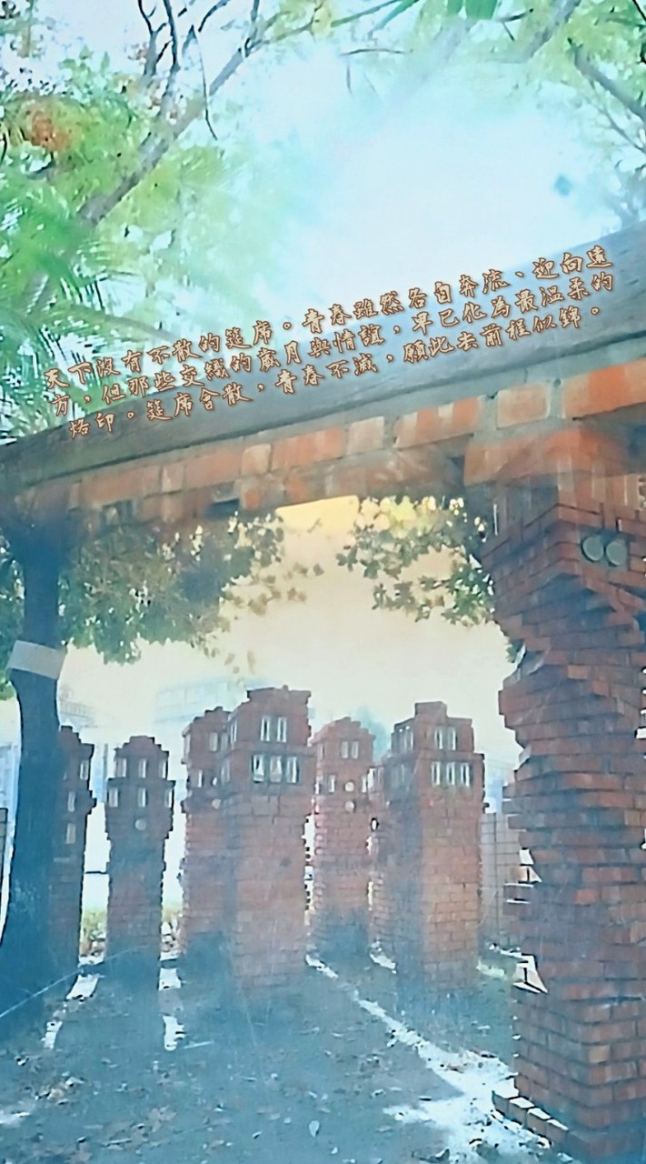 高雄新莊國小71屆畢業生