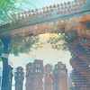 高雄新莊國小71屆畢業生