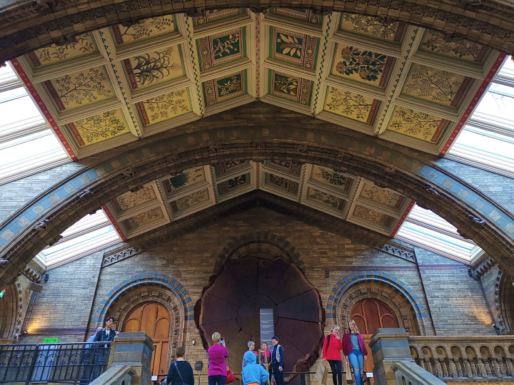 倫敦街頭實拍，HUAWEI Mate 20 Pro 矩陣式排列三鏡頭之超廣角、長焦鏡頭使用心得分享