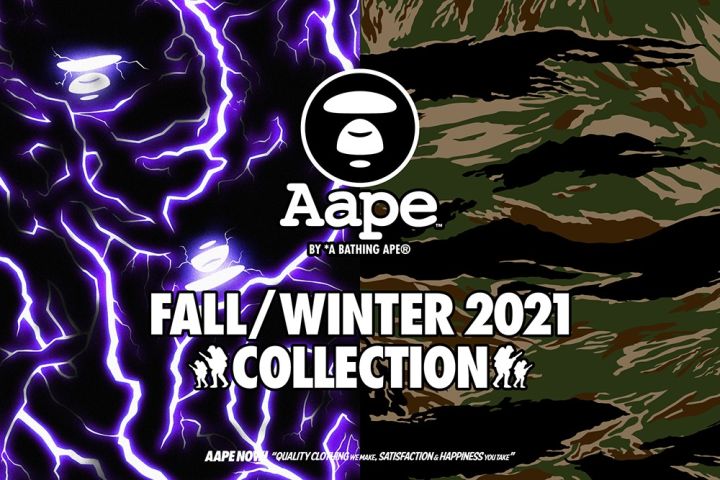 A BATHING APE 2021 AUTUMN/WINTER COLLECTION [Book]