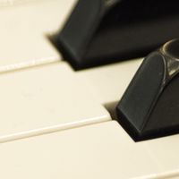 ミセス弾いてみた（楽器）共有部屋