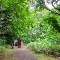 🌷 愛知 岐阜 三重 🌷 暮らしの雑談 〜なんでも話しましょう〜