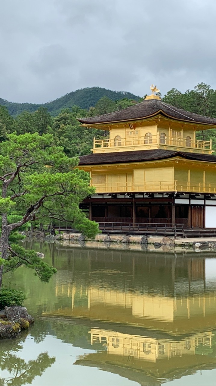 日本永住帰化申請