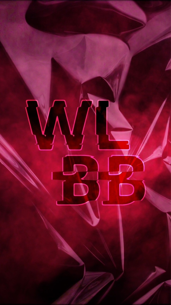 WLBB (We love beatbox battle)