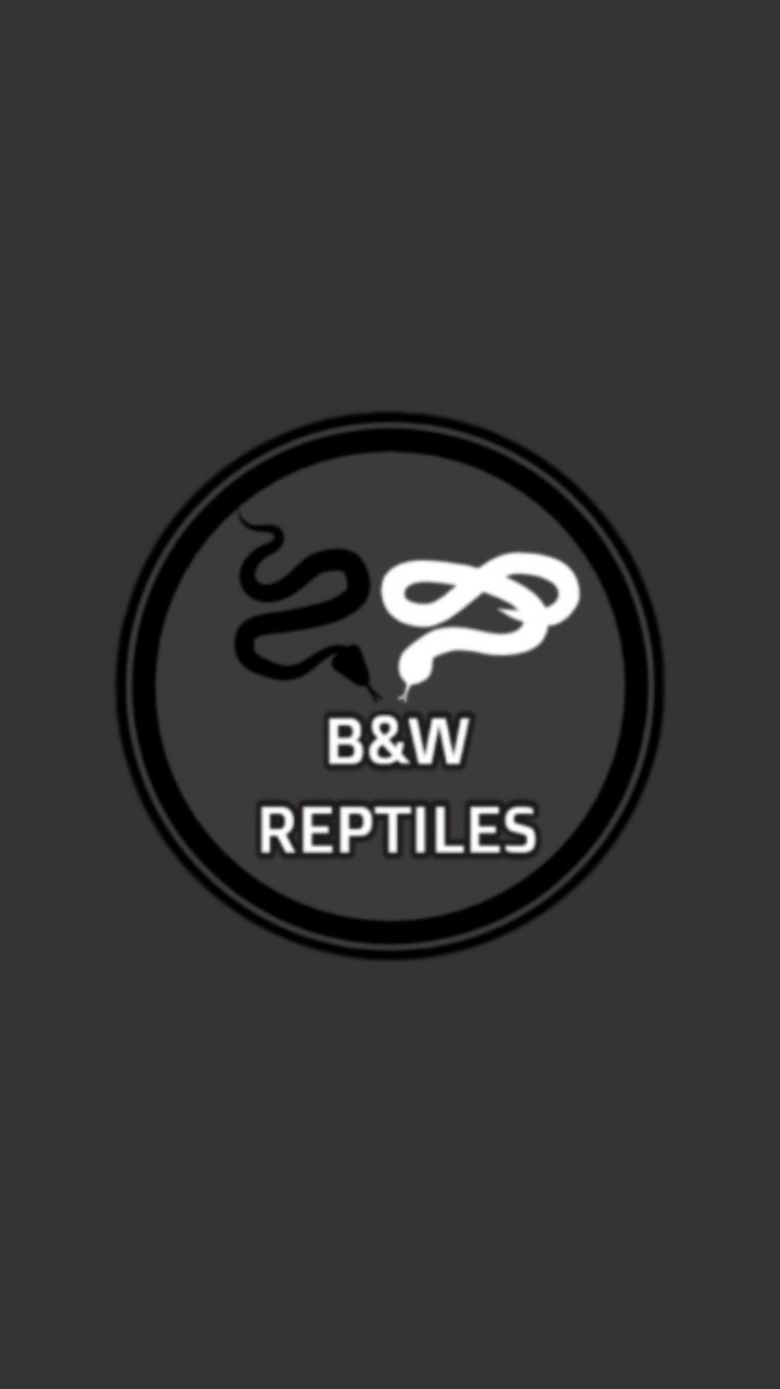 B&W黑白爬蟲交流群