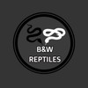 B&W黑白爬蟲交流群
