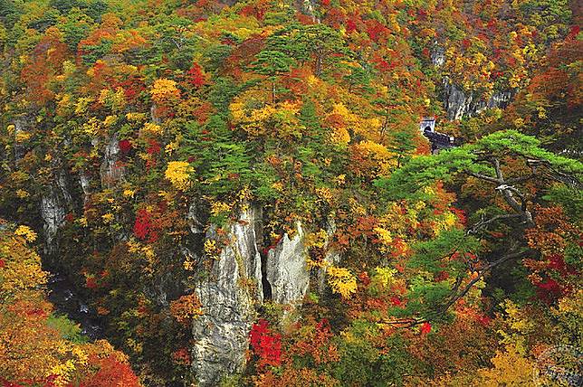 日本宮城樂遊自然盡享購物 旅遊經 Line Today