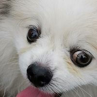 可愛勾勾分享群