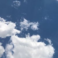 ⚡️雷恐怖症 関東限定