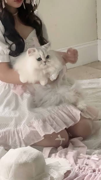 垢 抜 け 女 子 日 記 ⸝⸝ 📖💗