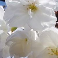病気や怪我と闘い、健康寿命の延命を考える集まり