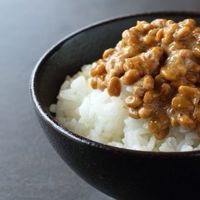 納豆ご飯の会