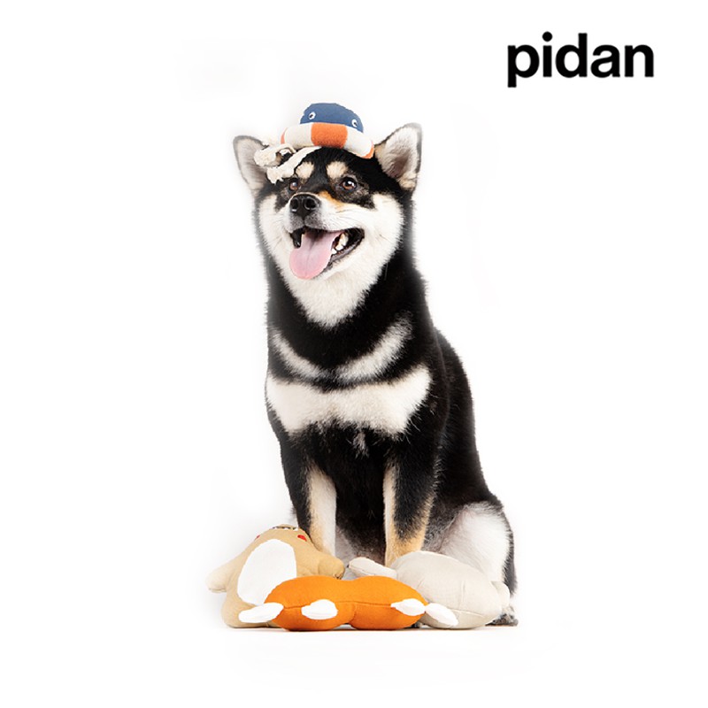 pidan 小怪獸發聲玩具 小狗 狗狗玩具 出聲玩具 娃娃 玩偶 耐咬 寵物 玩具 有聲玩具 小怪獸 怪獸玩偶 小狗 幼來自神秘星系“PIDAN-109 的小怪獸的新夥伴！ ● 猴開心、魷魚圈、胖大星