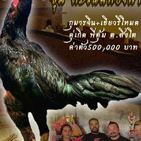 ตะวันสีทอง2(พม่าป่าช้าจีน)