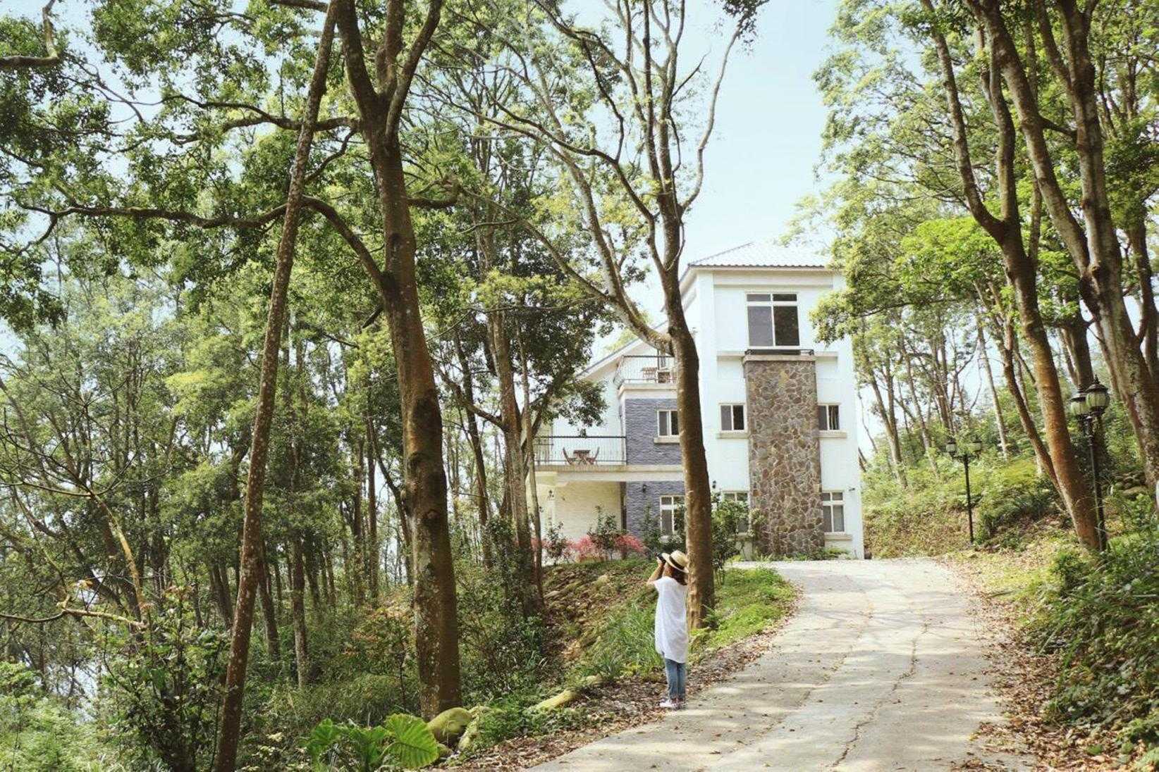 緩慢尋路 三義綠波浪