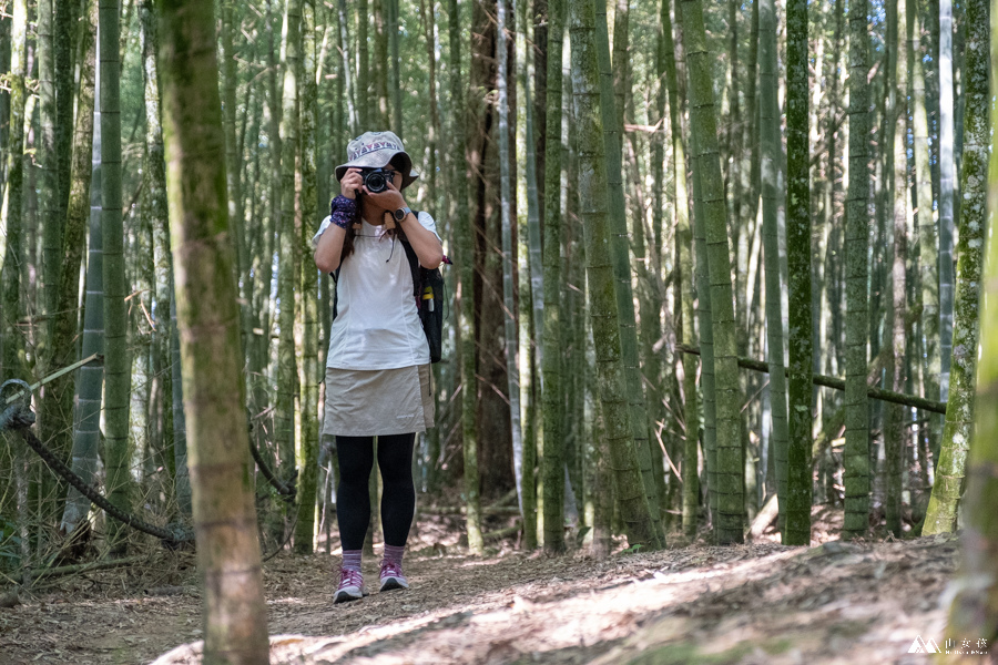 山女孩MelissaxMao冒險生活_水社大山_日月潭登山_路線分享-23.JPG