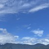 豐原區公所-114年全國性公投及立委臺中市第8選舉區罷免案主管＆主監社群
