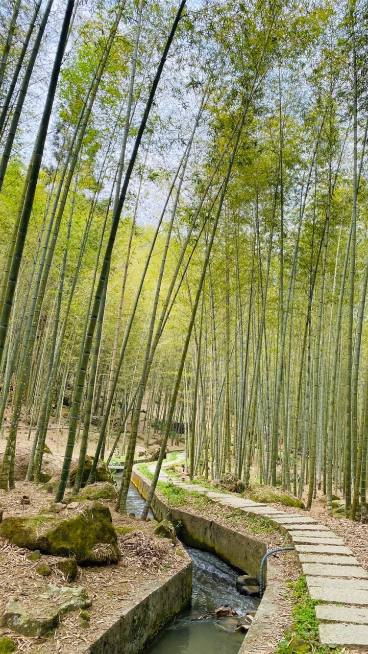 昱里有限公司