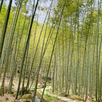 昱里有限公司