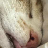 永和動ㄘˉ