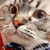 跟著BOMA到處買
