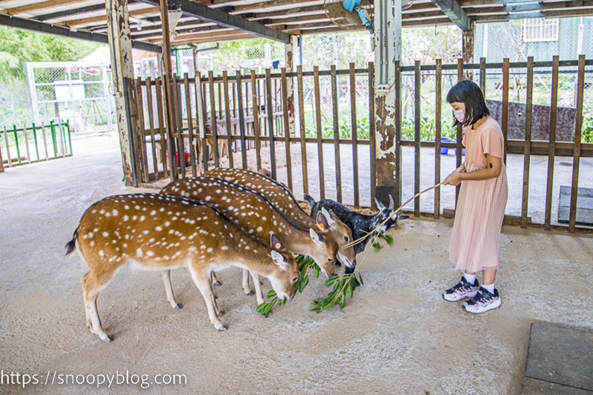 別只逛金山老街！新北人私藏６大祕境：無敵海景公車亭、全台戶外最大美術館